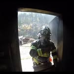Shawn Pendleton - @spendleton12 - Instagram