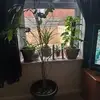 Shaun Pennington - @shaun.pennington1 - TikTok