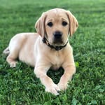 Shaun Pennington - @shaun.pennington.39 - Instagram