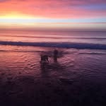 Shaun Pennington - @shaun.pennington.31 - Instagram