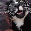 Shaun Ramos - @shaun.ramos7 - TikTok
