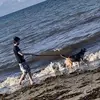Shaun Ramsay - @shaun.ramsay - TikTok