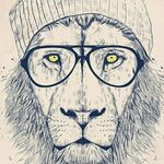 shaun_rollins - @shaun_rollins - Instagram