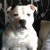Shaun Rowe - Facebook