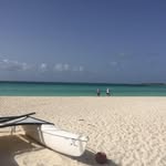 Shaun Rushton - @shaun.rushton.71 - Instagram