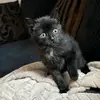 Shaun Saunders - @shaun.saunders7 - TikTok