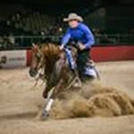Shaun - @shaunsaundersperformance - Instagram