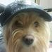 Shawn Saunders - Facebook