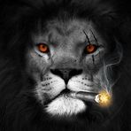Shaun Schaefer - Facebook