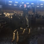 Shaun Slade - @shaun_slade - Instagram