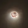 Shaun Slade - @shaun.slade - TikTok