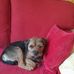 Shaun Smithson - Facebook