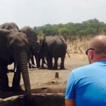 Shaun Stanley - @safari_stan - Instagram