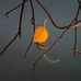 Shaun Stanley Photography - Facebook