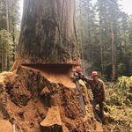 Shaun Stephens - @shaun.stephens.10 - Instagram