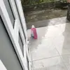 Shaun Terrell - @shaun.terrell76 - TikTok