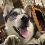 Shawn Terrell - Facebook
