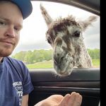 Shaun Thayer - @sthayer731 - Instagram