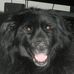 Shawn Thurston - Facebook
