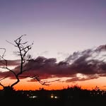 shawn thurston - @shawnpc3000 - Instagram