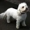 Shaun Travis - @shauntravis2 - TikTok