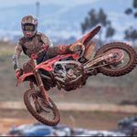 Shaun Walker - @shaun.walker.mx - Instagram