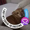 Shaun Wallace - @shaun.wallace8 - TikTok