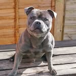 Shaun Warner - @s_warner.1466 - Instagram
