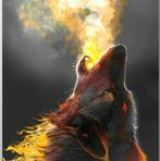 Shaun Weaver - Facebook