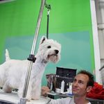 Shaun Weber - @tarrilliwesties - Instagram