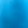 Shaunweller - @shaunweller - TikTok