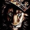 shaunwheeler881 - @shaunwheeler881 - TikTok