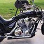 Shaun Willie - @willieshaun - Instagram