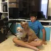 Shaun Wong - @shaun_wong - TikTok