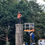 Shaun Wright - @shaunwright_treeservices - Instagram