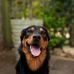 Shauna Baxter - Facebook