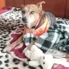 shaunabeach461 - @shaunabeach461 - TikTok