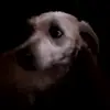Shauna Byrd - @shaunabyrd - TikTok