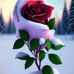 Kirti Sharma - Facebook