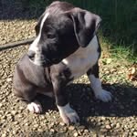 shauna jones-friend - @shauna_jones_friend - Instagram
