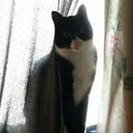 Shauna Kaiser - @hayleysmom2013 - Instagram