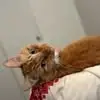 shaunakaiser2 - @shaunakaiser2 - TikTok