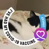 shaunalyons82 - @shaunalyons82 - TikTok