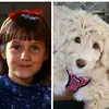 Shauna Reilmann - @shaunareilmann - TikTok