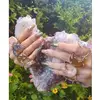 shauna Nelson - @tree_of_life_crystals - TikTok