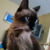 Shauna Nelson - @shauna.nelson3 - TikTok
