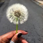 AllTheArts - @shaunapage - Instagram