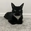 shauna - @shauna.rees - TikTok