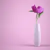 shaunarees0 - @shaunarees0 - TikTok