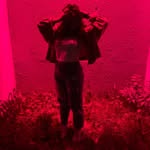 Shauna Roth- Dance Account - @shaunarothh2 - Instagram